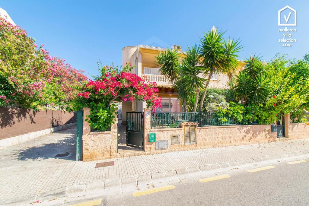 MARISTANY Alcudia MARISTANY Alcudia