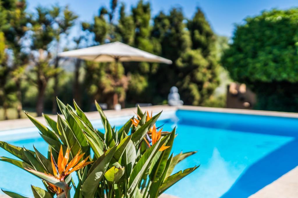 Casa Piscina Casa Piscina