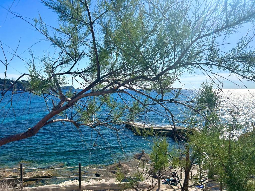 Beachhouse 2min to the sea with pool & wonderful garden