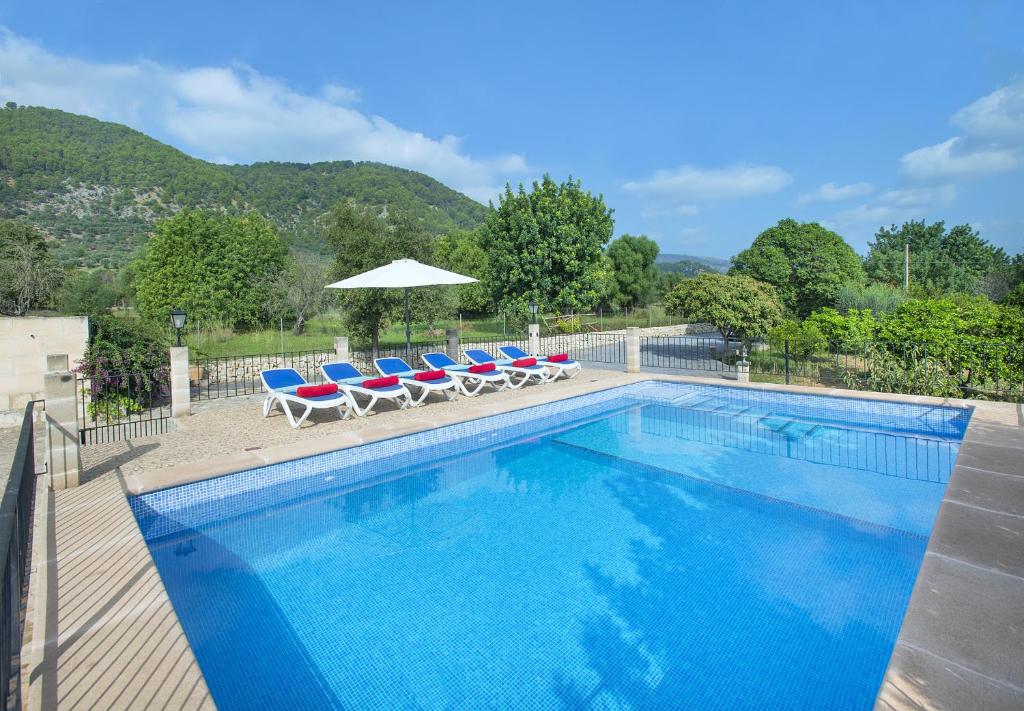 Owl Booking Villa Sedes - Dive Into Nature Owl Booking Villa Sedes - Dive Into Nature