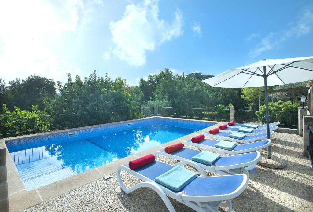 Owl Booking Villa Sedes - Dive Into Nature Owl Booking Villa Sedes - Dive Into Nature