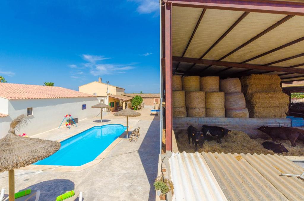 Sa Caseta De Ses Vaques.Son Covas