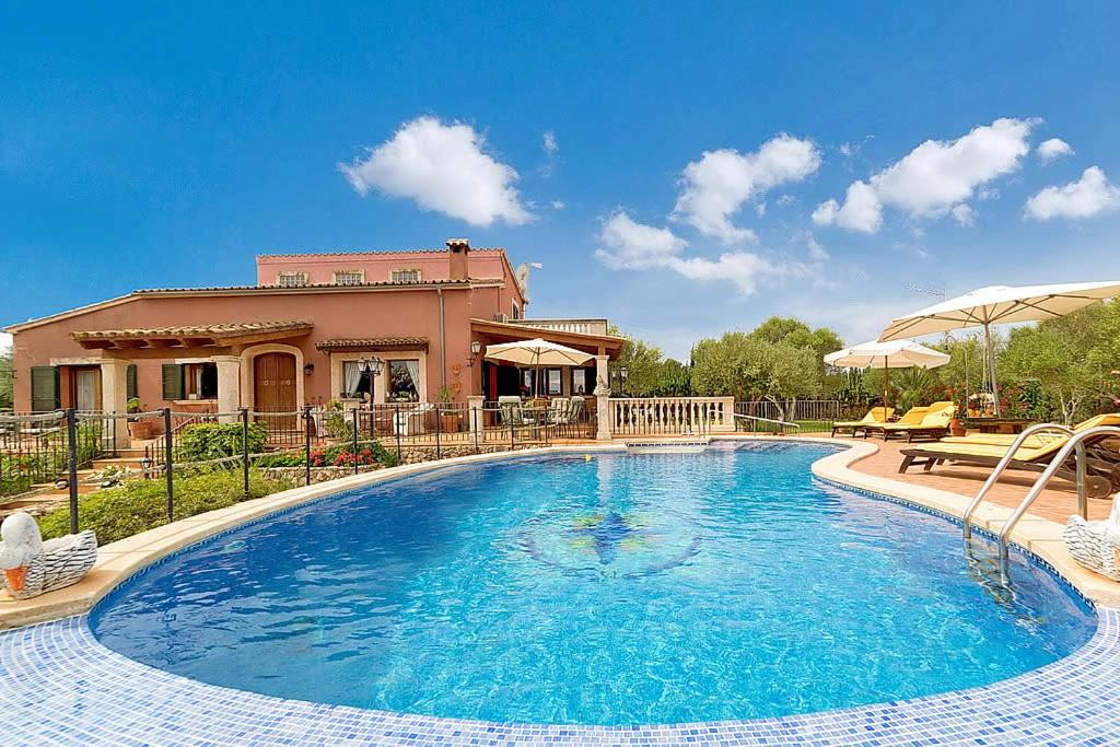 Finca Diver