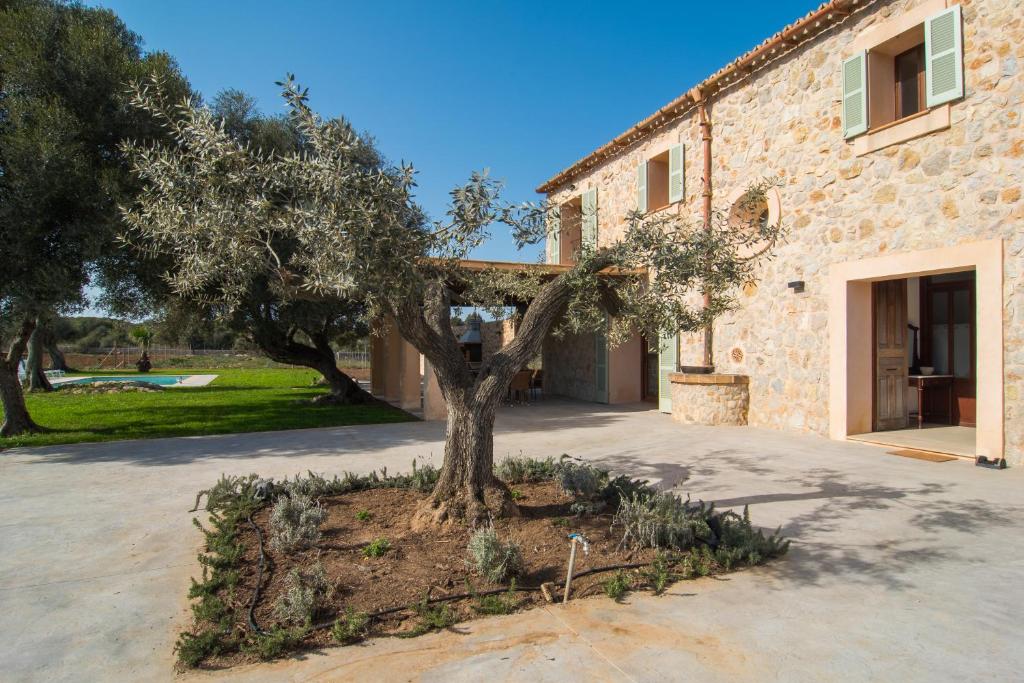 Finca Es Vidrier