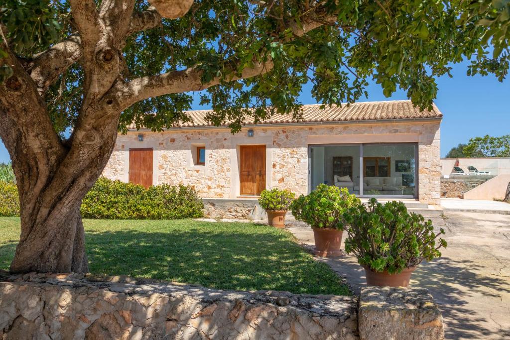 Finca Salom Verd Finca Salom Verd
