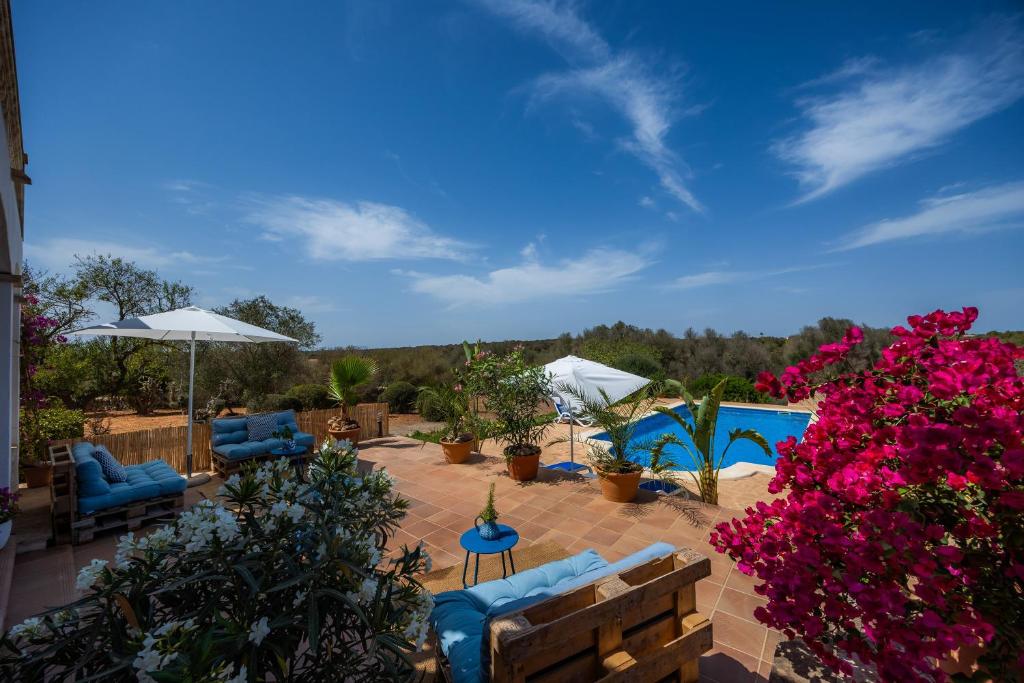 Oasis del Sol Oasis del Sol