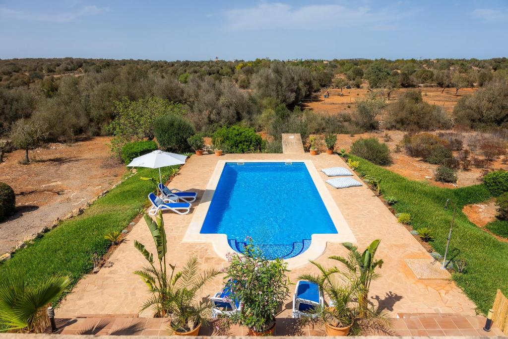Oasis del Sol Oasis del Sol