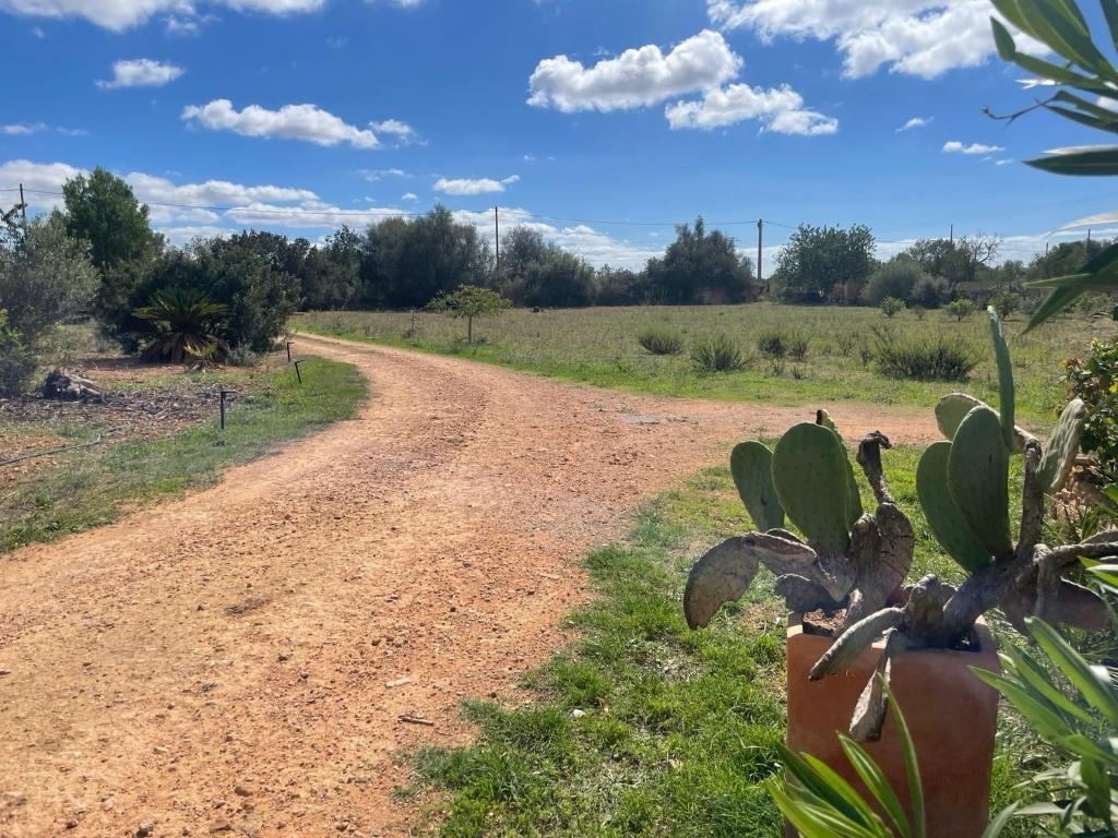 Finca Can Alba
