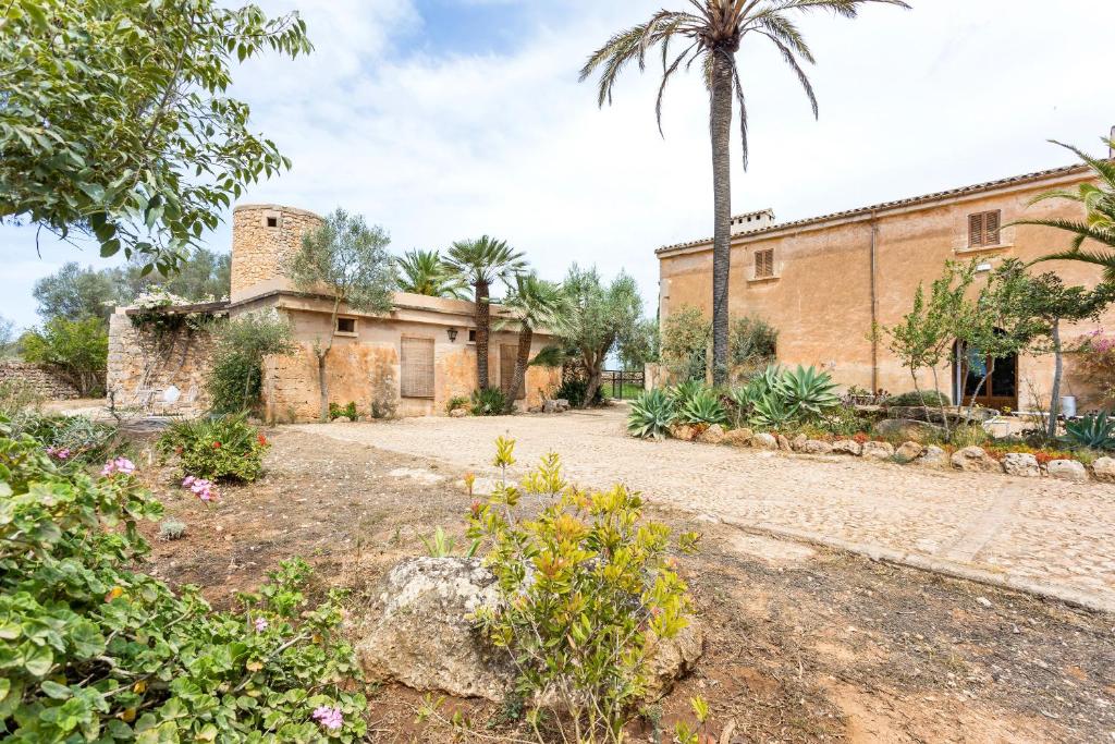 Finca Son Vidal