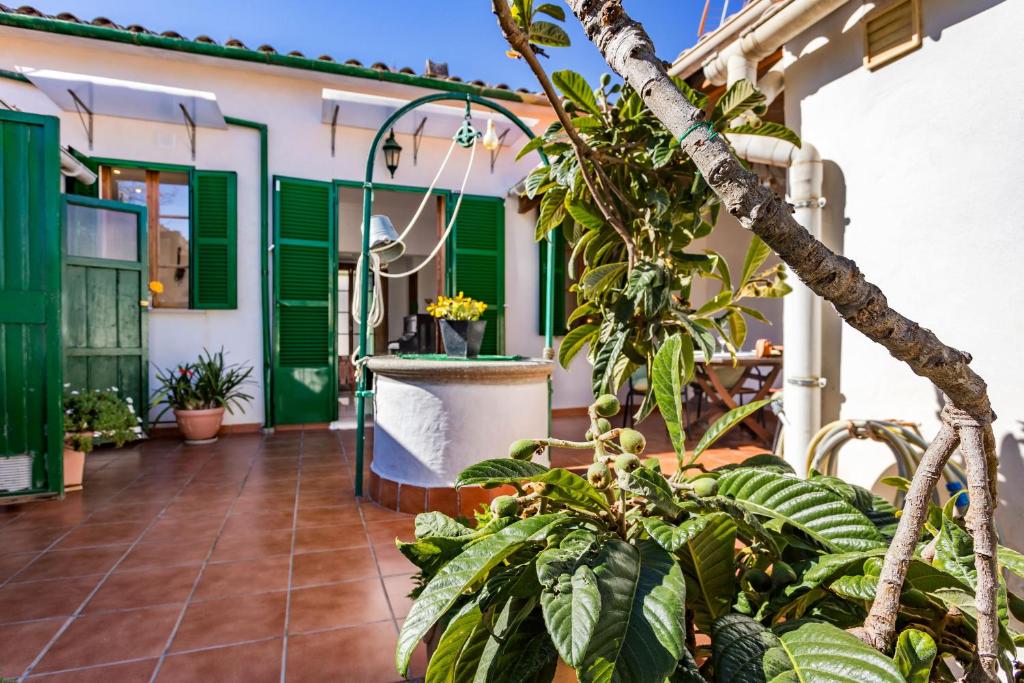 Casa Vileta