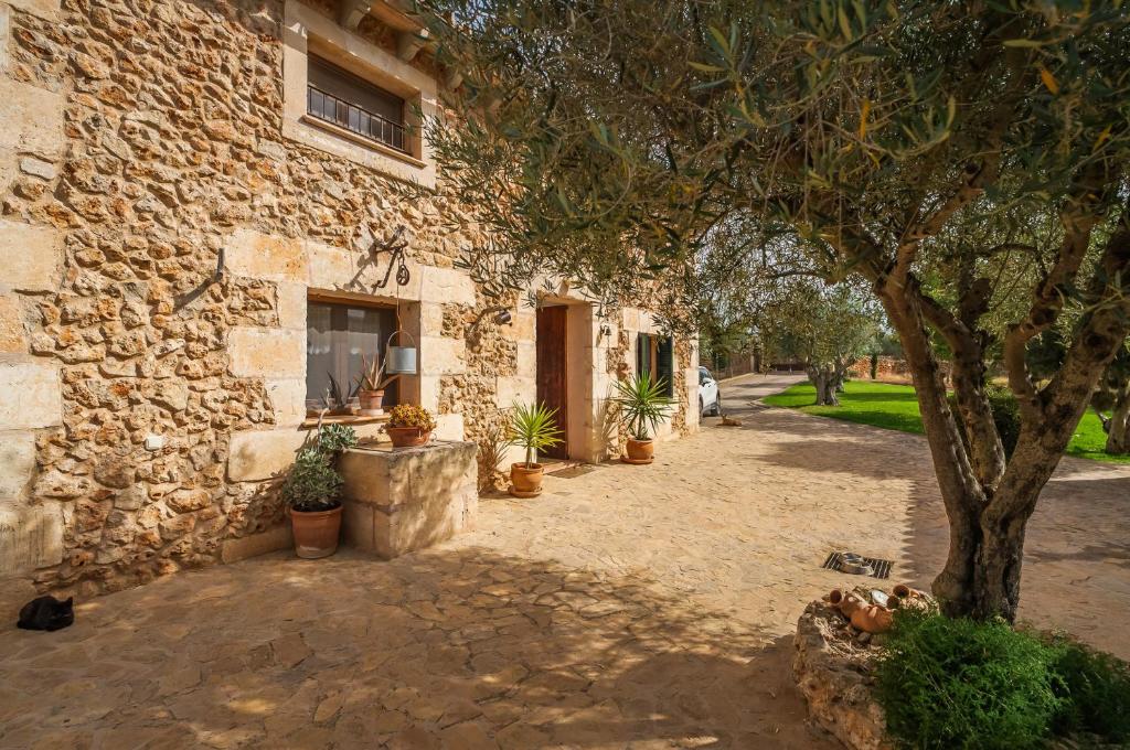 Ideal Property Mallorca - Sa Rota Ideal Property Mallorca - Sa Rota