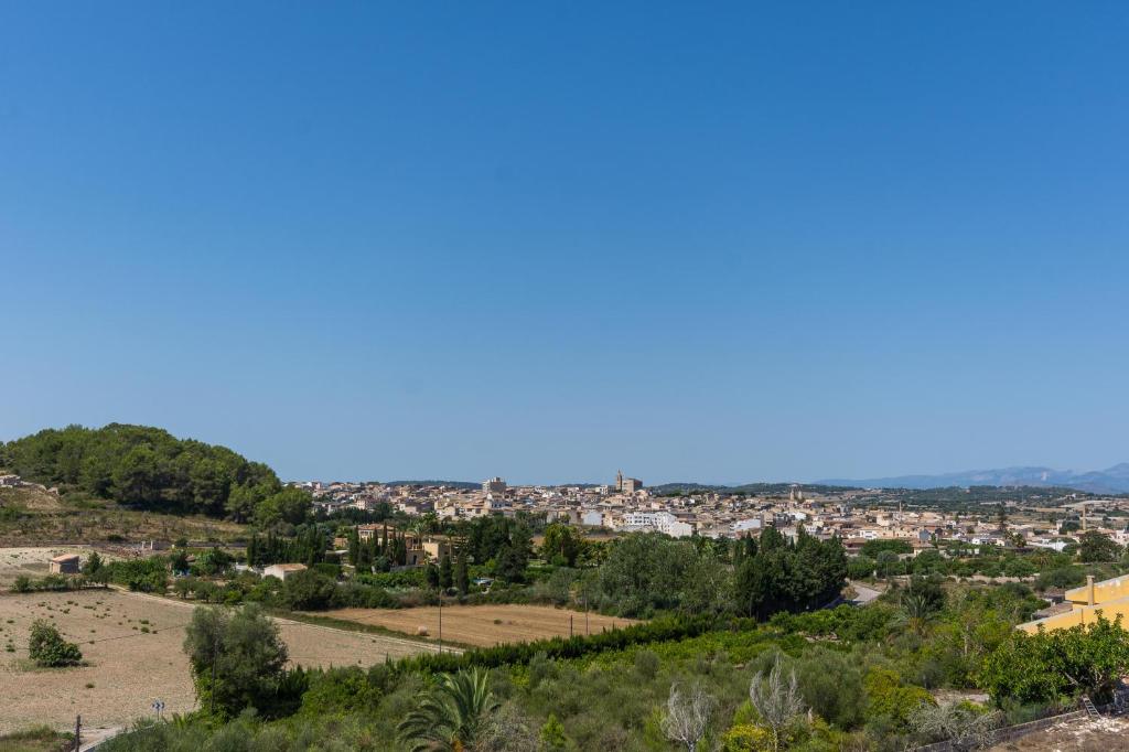 Molí D,en Barret