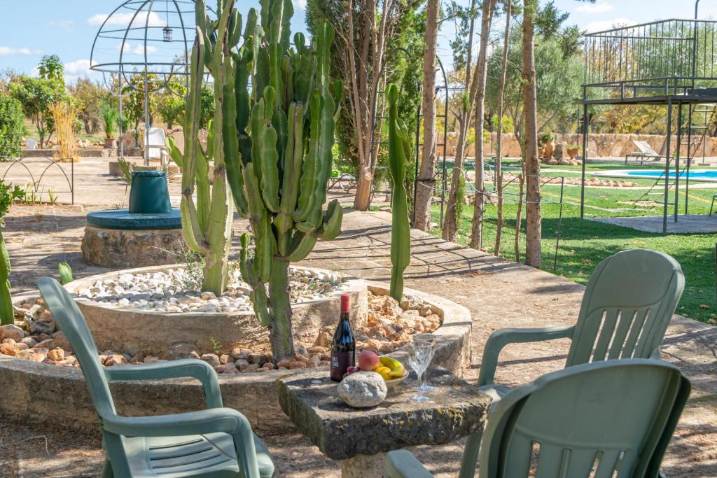 Sa Caseta -Ca n'Andreu-